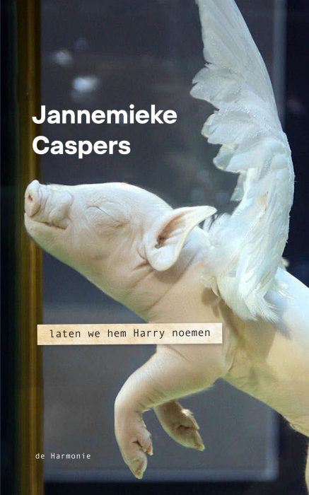 Caspers_Laten-we-hem-Harry-noemen